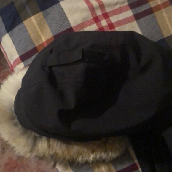 Canadian goose - Picture 5 of 6